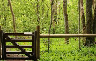 Garphyttans nationalpark